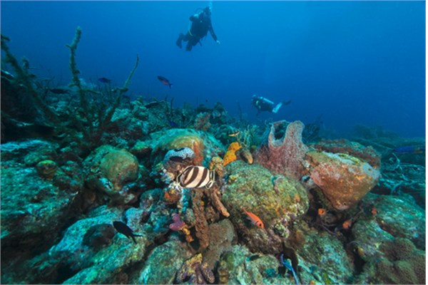 Türkiye'nin kredi notu artık bu ülkelerle aynı... - Resim: 1