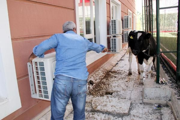 Yurttan kurban manzaraları - Resim: 4