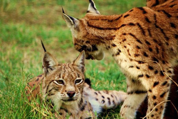 Bu fotoğraflar jüriyi zorladı - Resim: 4