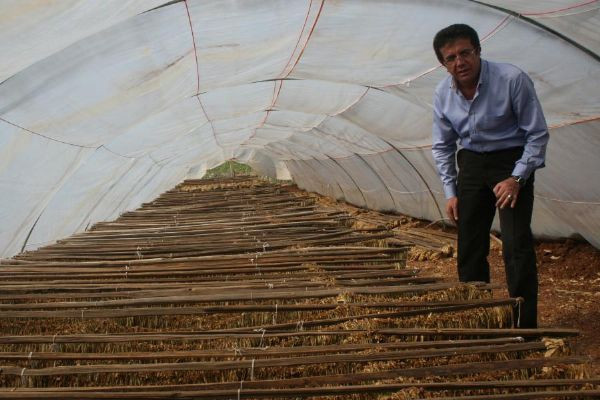 Yeni Bakan Nihat Zeybekci amelelikten gelme - Resim: 2