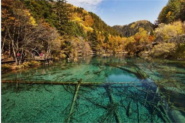 Dünyanın en temiz denizleri - Resim: 4