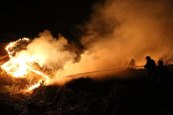 Rize'de büyük orman yangını - Resim: 1