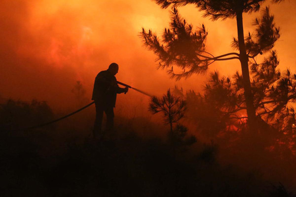 Rize'de büyük orman yangını - Resim: 2