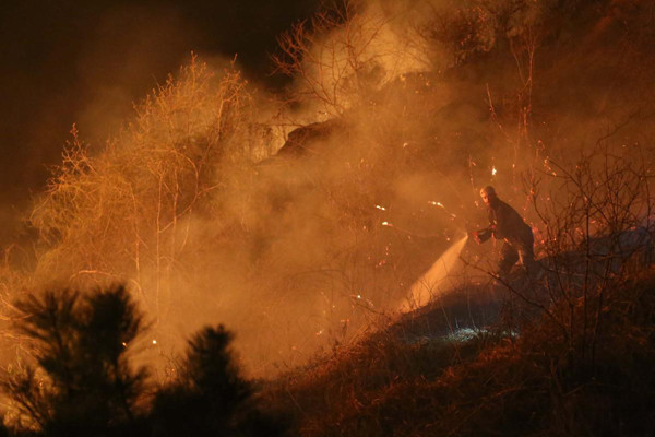 Rize'de büyük orman yangını - Resim: 3
