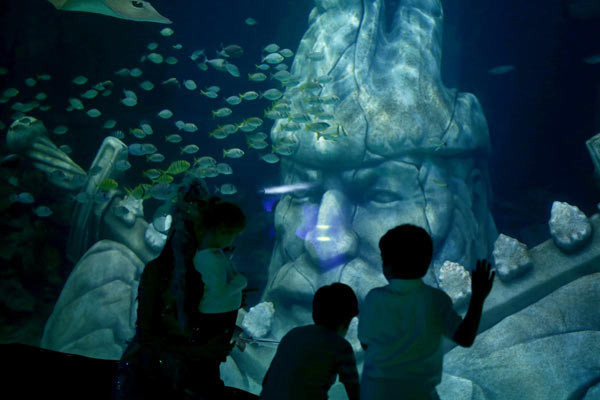 İstanbul'da büyüleyici bir akvaryum - Resim: 1