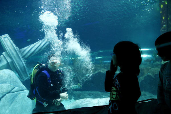 İstanbul'da büyüleyici bir akvaryum - Resim: 3