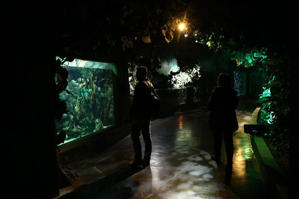 İstanbul'da büyüleyici bir akvaryum - Resim: 4