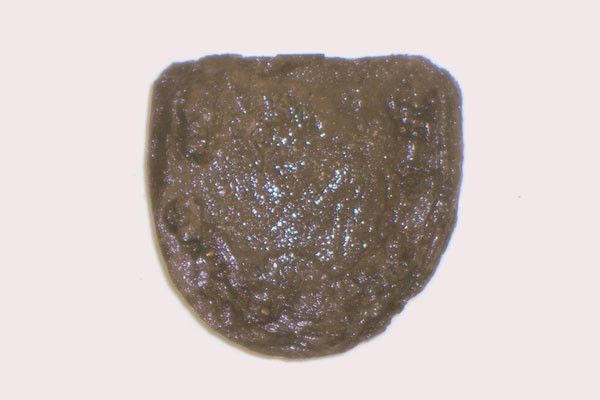 Fırkateynde şehit kalıntısı - Resim: 2