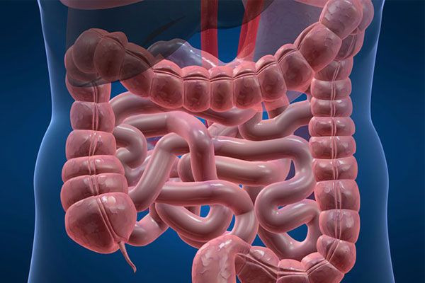 Bu gıdalar genç kalmanızı sağlıyor İşte yaşlanmayı engelleyen besinler - Resim: 4