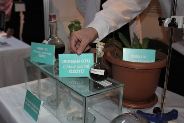 Yaraları anında yok eden mucizevi buluş! Vanlı öğrencilerden 'organik yara bandı' - Resim: 2