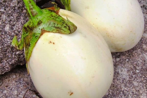 Görenler ne olduğunu anlamaya çalışıyor ama her derde deva - Resim: 3