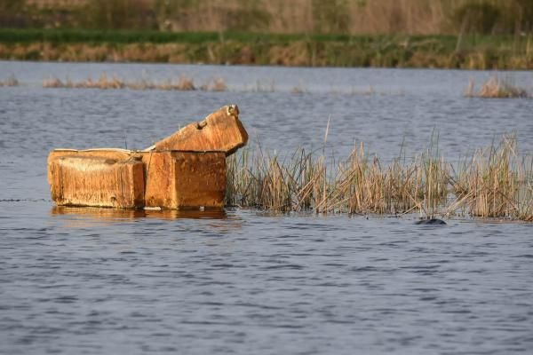 Kütahya'da buzdolabından yaptıkları saldan gölete düşen 2 kişi öldü - Resim: 2
