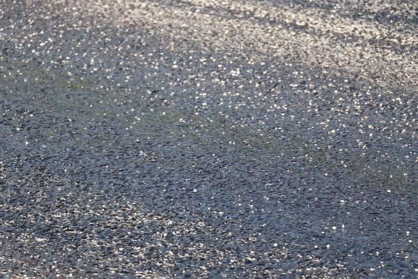 Denizli'de sıcaktan asfalt eridi! Vatandaşların ayakkabıları eriyen asfalta yapıştı - Resim: 4