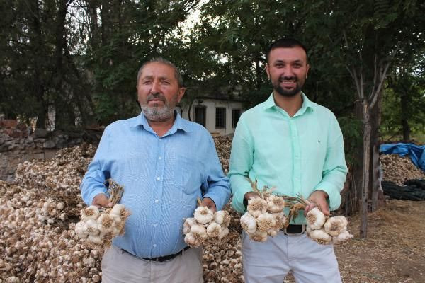 İngiltere'de öğrenim gördü mühendis oldu! Türkiye'de sarımsak ihraç ediyor - Resim: 1