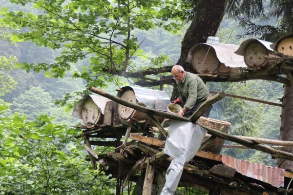 Kilosu 600 lira ama siparişleri yetiştiremiyor! Elini değdirmeden üretiyor - Resim: 1