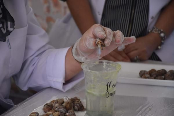 Türkiye'nin kuluçkahaneli ilk salyangoz merkezi İzmir'de! Tüm dünyaya ihraç ediliyor - Resim: 2