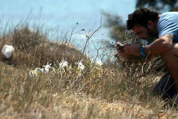 Görsel şölen! Kum zambağını koparana 48 bin 625 lira ceza kesilecek - Resim: 1