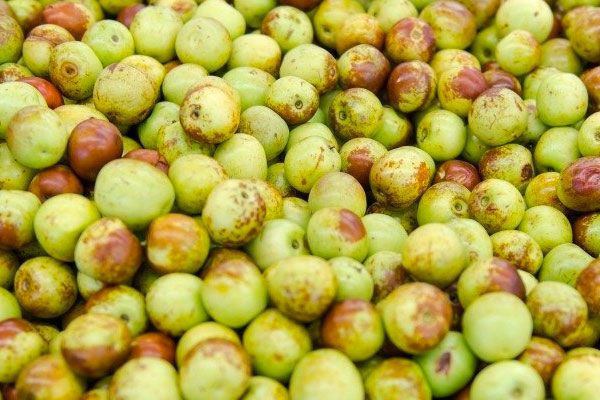 Ölümsüzlük meyvesi deniyor hünnap meyvesinin faydaları saymakla bitmiyor - Resim: 3