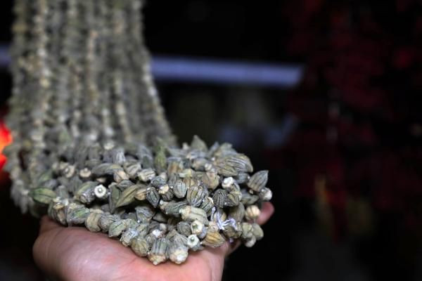 Gramla satılıyor altınla yarışıyor! Çiçek bamyanın kilogramı 200 TL - Resim: 2