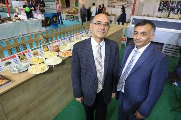 Newyork Üniversitesi'nde kadın sütünden peynir üretildi! Tadına doyum olmadı - Resim: 3