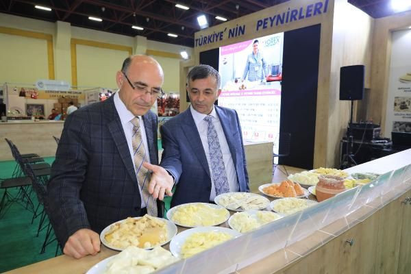 Newyork Üniversitesi'nde kadın sütünden peynir üretildi! Tadına doyum olmadı - Resim: 4