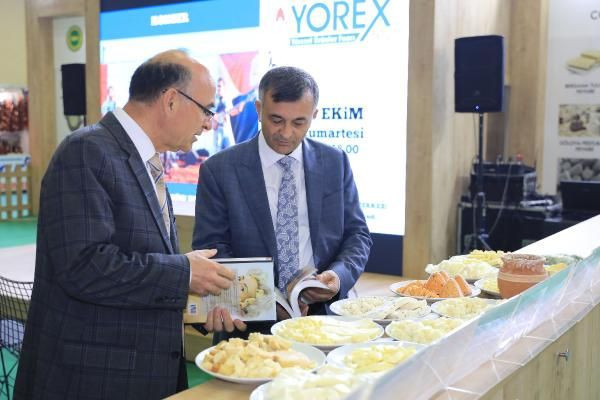 Newyork Üniversitesi'nde kadın sütünden peynir üretildi! Tadına doyum olmadı - Resim: 1