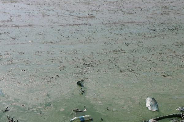 Adıyaman Atatürk Barajı Gölü'nde korkutan görüntü vatandaşlar uyarıldı - Resim: 1