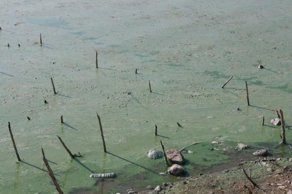Adıyaman Atatürk Barajı Gölü'nde korkutan görüntü vatandaşlar uyarıldı - Resim: 3