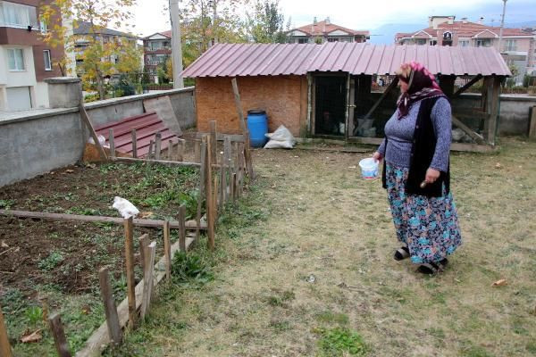 Bolu'da akılalmaz canilik! Son bir haftada 6 kedinin ayakları kesilmiş halde bulundu - Resim: 3