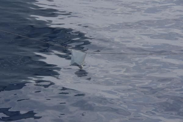 SAT komandolarından dikkat çeken tatbikat - Resim: 3