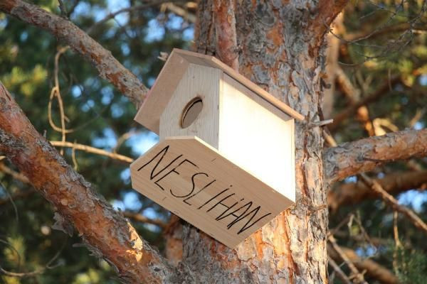 Oltulu usta 'bir kuş da sen barındır' dedi! Kampanyasına destek yağdı - Resim: 3