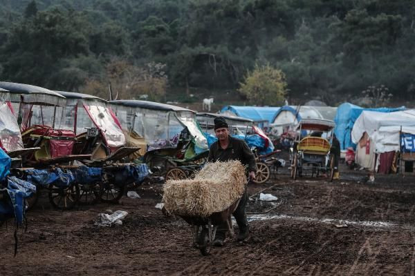 Adalar'da atların yaşadığı yer rezalet! Ruam hastalığı insana bakın nasıl bulaşıyor - Resim: 2