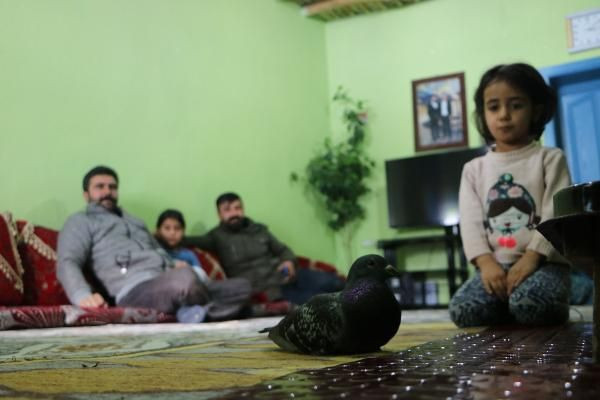 Hakkari'de bulundu sırrı çözülemiyor! Ayağında 'İran 2018' yazıyor - Resim: 2