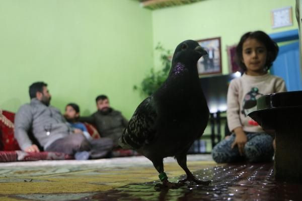 Hakkari'de bulundu sırrı çözülemiyor! Ayağında 'İran 2018' yazıyor - Resim: 1