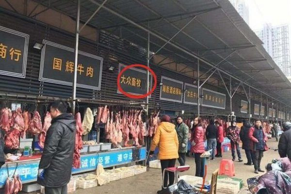 Çin'de ortaya çıkan koronavirüsünün belirtileri neler dünya tehdit altında - Resim: 4