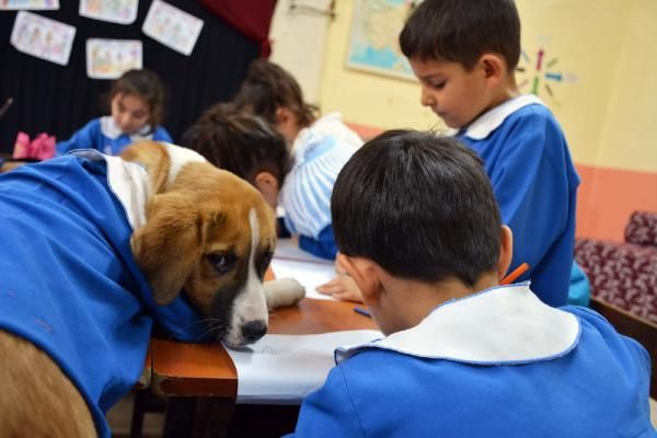 Önlüklü fotoğrafı ile hafızalara kazınan "Fındık" gömüldü - Resim: 1