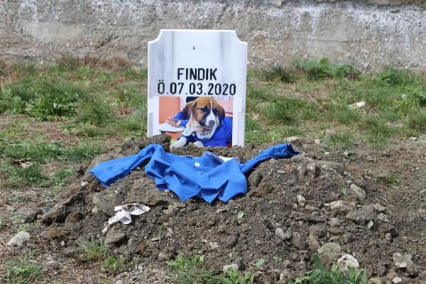 Önlüklü fotoğrafı ile hafızalara kazınan "Fındık" gömüldü - Resim: 3