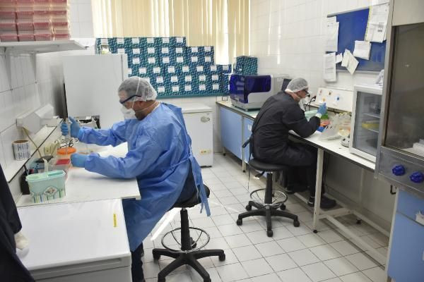 4 şehrin koronavirüs testleri Malatya'da yapılıyor işte o laboratuvardan görüntüler - Resim: 4