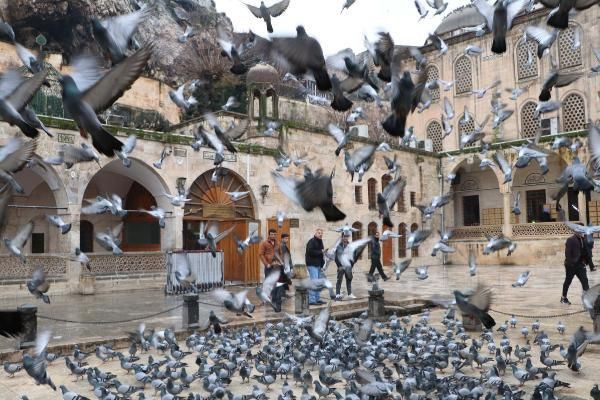 Şanlıurfa’da türbeler ziyarete kapatıldı kapılara uyarı asıldı - Resim: 1