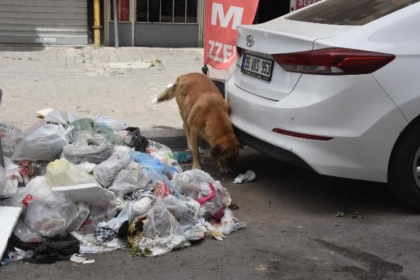 İzmir çöplüğe döndü! 'Her yer leş gibi çöp kokuyor, belediye 2 gündür çöpleri toplamıyor' - Resim: 4
