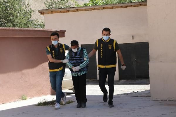 Hakkari'de 85 yaşındaki kadın ve 15 yaşındaki çocuğa cinsel istismarda bulundu - Resim: 1