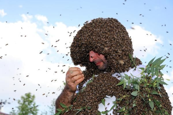 Vanlı Arı Adam dünya rekorunu kırmak için binlerce arıyı üzerinde topladı - Resim: 2