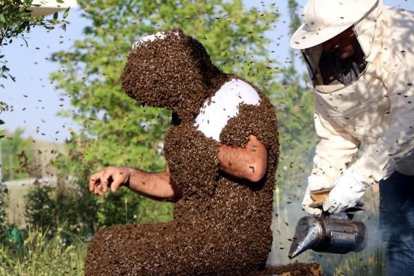 Vanlı Arı Adam dünya rekorunu kırmak için binlerce arıyı üzerinde topladı - Resim: 3