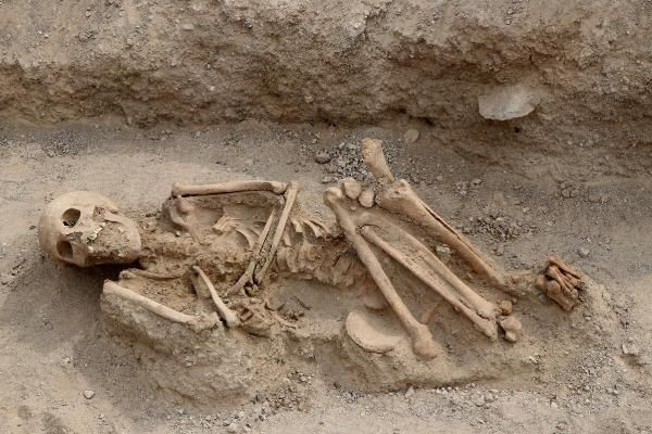 Van'da bulunmuştu! Biliminsanlarını şaşırtan bir gelişme yaşandı - Resim: 4