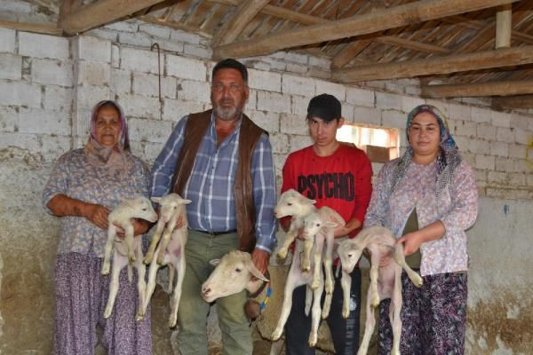 Manisa'da ilginç olay! Kuzularına öyle isimler verdi ki duyanlar şaşkına döndü - Resim: 2