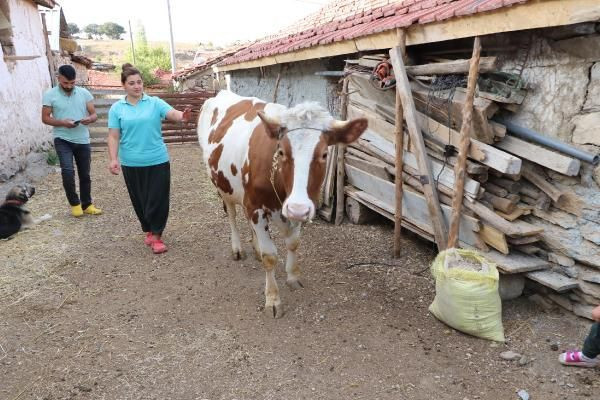 Eskişehir'de herkes alay etti onları dinlemedi yaptığı işle hayatı değişti - Resim: 1