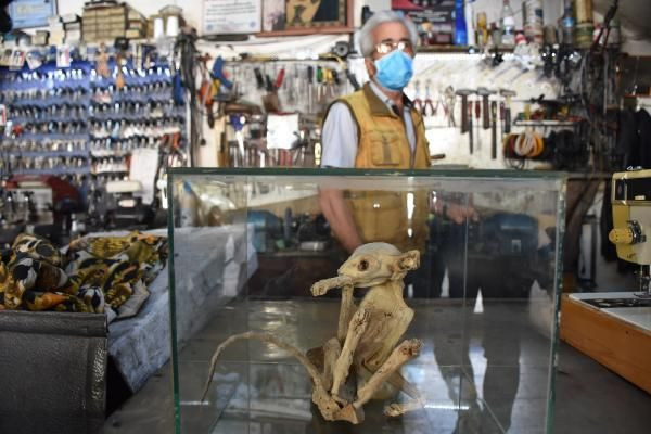 Niğde'de esrarengiz iskeleti 4 profesör inceledi kimse ne olduğunu bilmiyor - Resim: 1