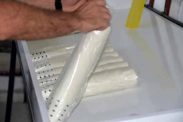 Bingöllü genç koronavirüsü fırsata çevirdi! Kurduğu tesisle adeta para basıyor - Resim: 1