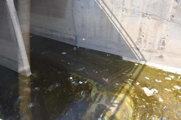 İzmir'de halk isyan etti: Kokudan pencere açamıyoruz - Resim: 3