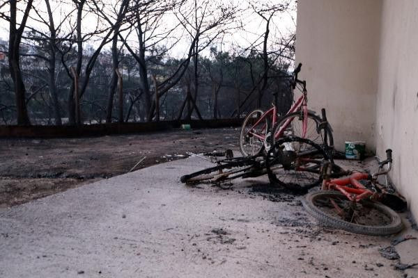 Hatay'daki yangından acı kareler! İki kişinin konuşmasını duydum "Gel burada şenlik var" - Resim: 3